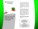Site internet Efficience RH
