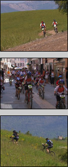 Choc rando 2010 ours tv
