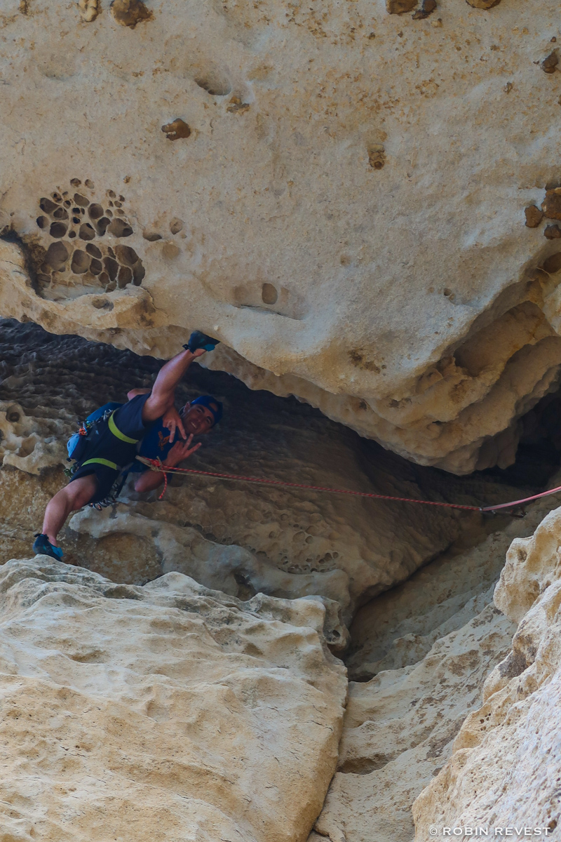 Dme des Ecrins 2