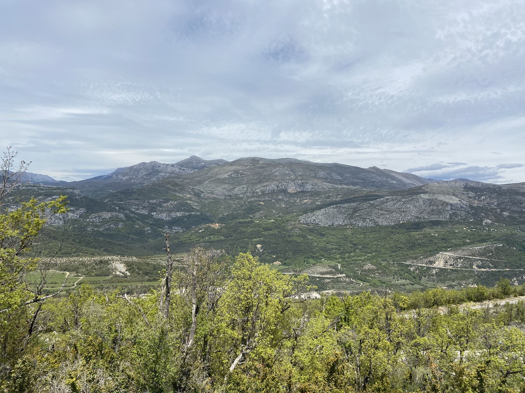  copie 0 IMG 0863