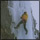 Reportage Ice Climbing Ecrins 2010 agence communication